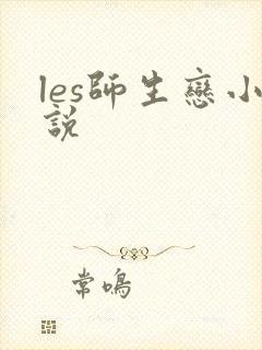 les师生恋小说