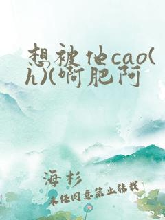 想被他cao(h)(啊肥阿