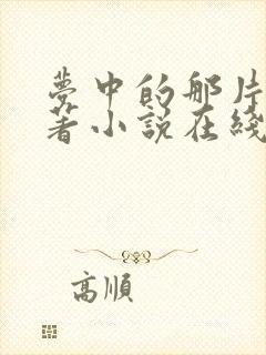 梦中的那片海原著小说在线阅读