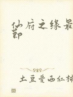 仙府之缘最新章节