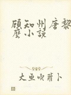 顾知州唐黎叫什么小说