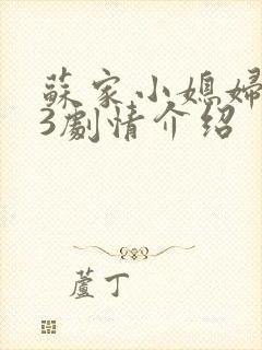 苏家小媳妇1v3剧情介绍