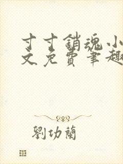 寸寸销魂小说全文免费笔趣阁