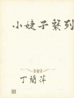 小婕子系列小说
