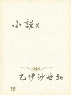 小说x