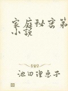 家庭秘密第3集小说