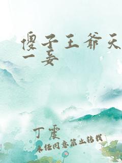 傻子王爷天下第一妾