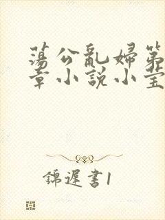 荡公乱妇第51章小说小莹