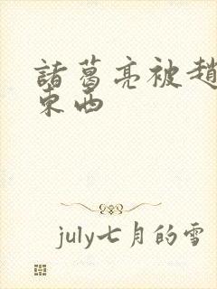 诸葛亮被赵云塞东西