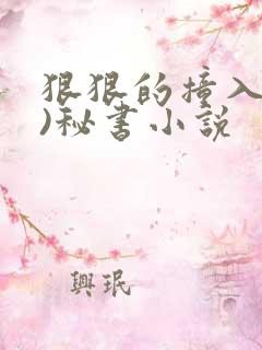 狠狠的撞入(h)秘书小说
