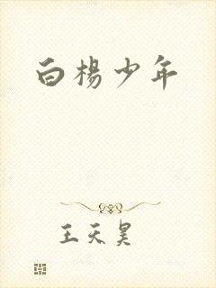 白杨少年