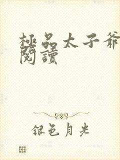 极品太子爷全文阅读