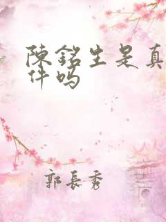 陈铭生是真实事件吗