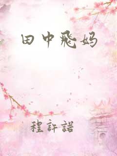 田中飞妈
