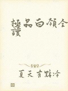 极品白领全文阅读