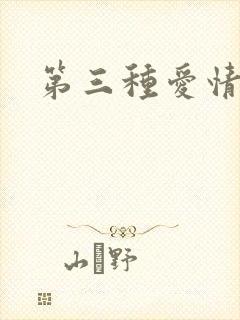 第三种爱情续集