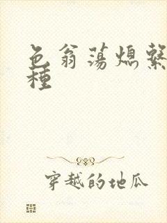 色翁荡熄系列借种