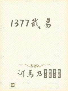 1377武易