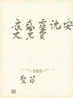 夜盛霆沈安然全文免费