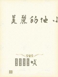 美丽的他 小说