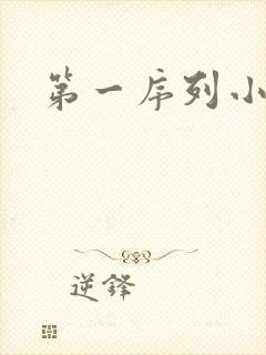 第一序列小说