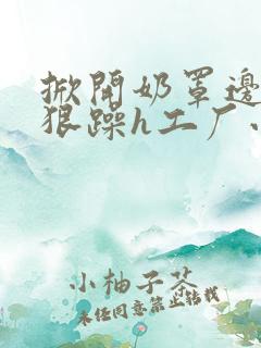 掀开奶罩边躁狠狠躁h工厂小说