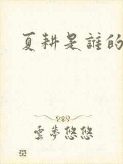 夏耕是谁的女婿