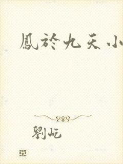 凤于九天小说