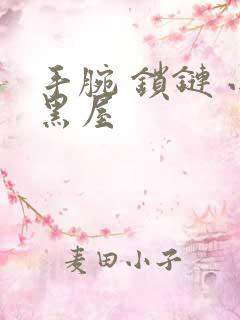 手腕 锁链 小黑屋