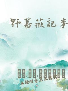野蔷薇记事薄
