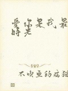 爱你是我最好的时光