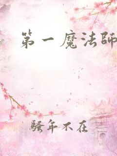第一魔法师