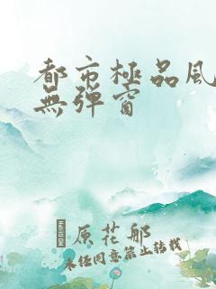 都市极品风水师无弹窗