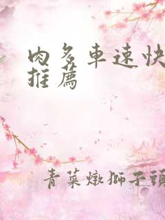 肉多车速快的书推荐
