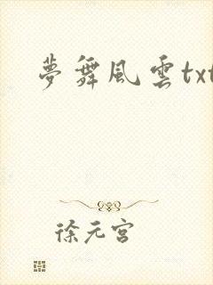 梦舞风云txt