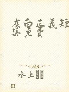 灰白正义短剧全集免费