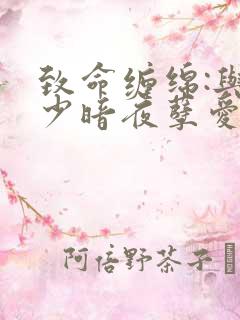 致命缠绵:与冷少暗夜孽爱