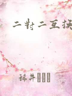 二对二互换共享