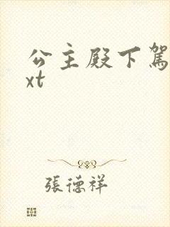 公主殿下驾到txt