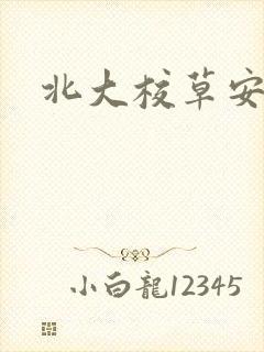 北大校草安允泽