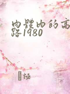 肉体内的高速公路1980
