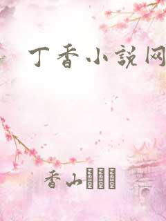 丁香小说网
