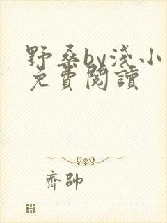 野桑by浅小说免费阅读