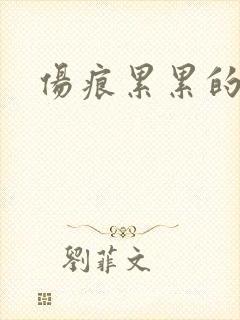 伤痕累累的勋章