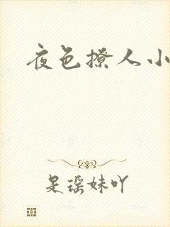 夜色撩人小说