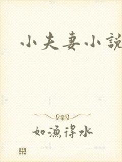 小夫妻小说