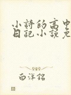 小诗的高中成长日记小说免费阅读