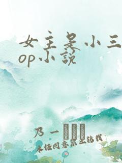 女主是小三的pop小说