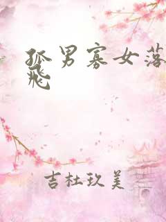 孤男寡女落瑛纷飞