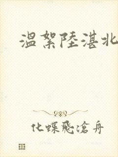 温絮陆湛北